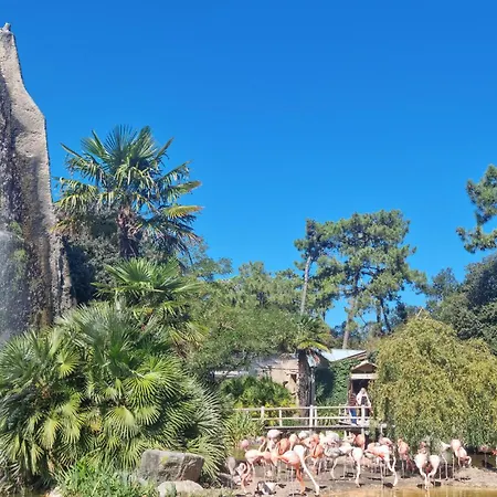 شقة 1 Bedroom Amazing In