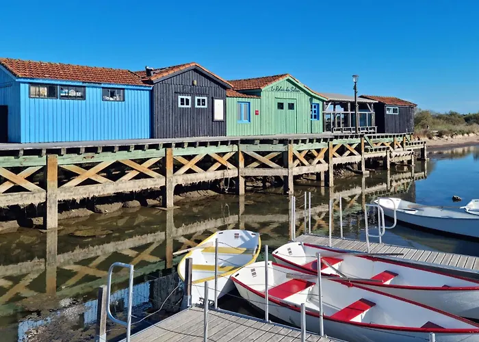 Apartamento 1 Bedroom Amazing In *