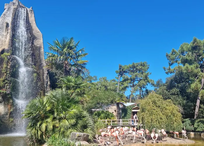 Apartamento 1 Bedroom Amazing In